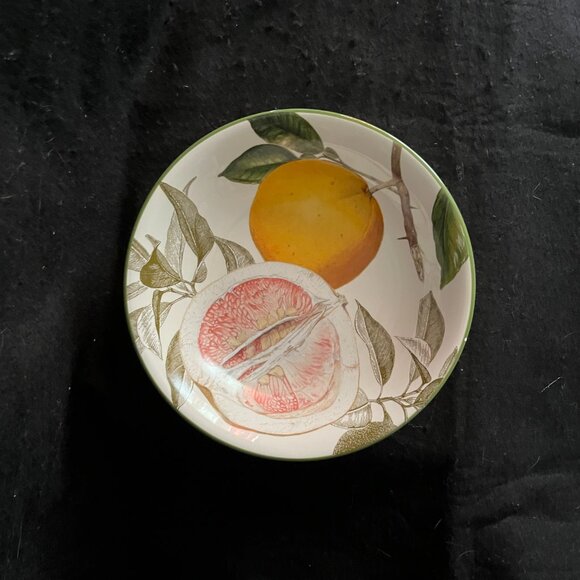 Vintage Discontinued Williams Sonoma Botanical Citrus Bowls/Plates - Picture 9 of 11